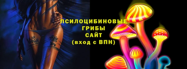 дживик Абаза