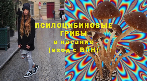 стафф Абдулино